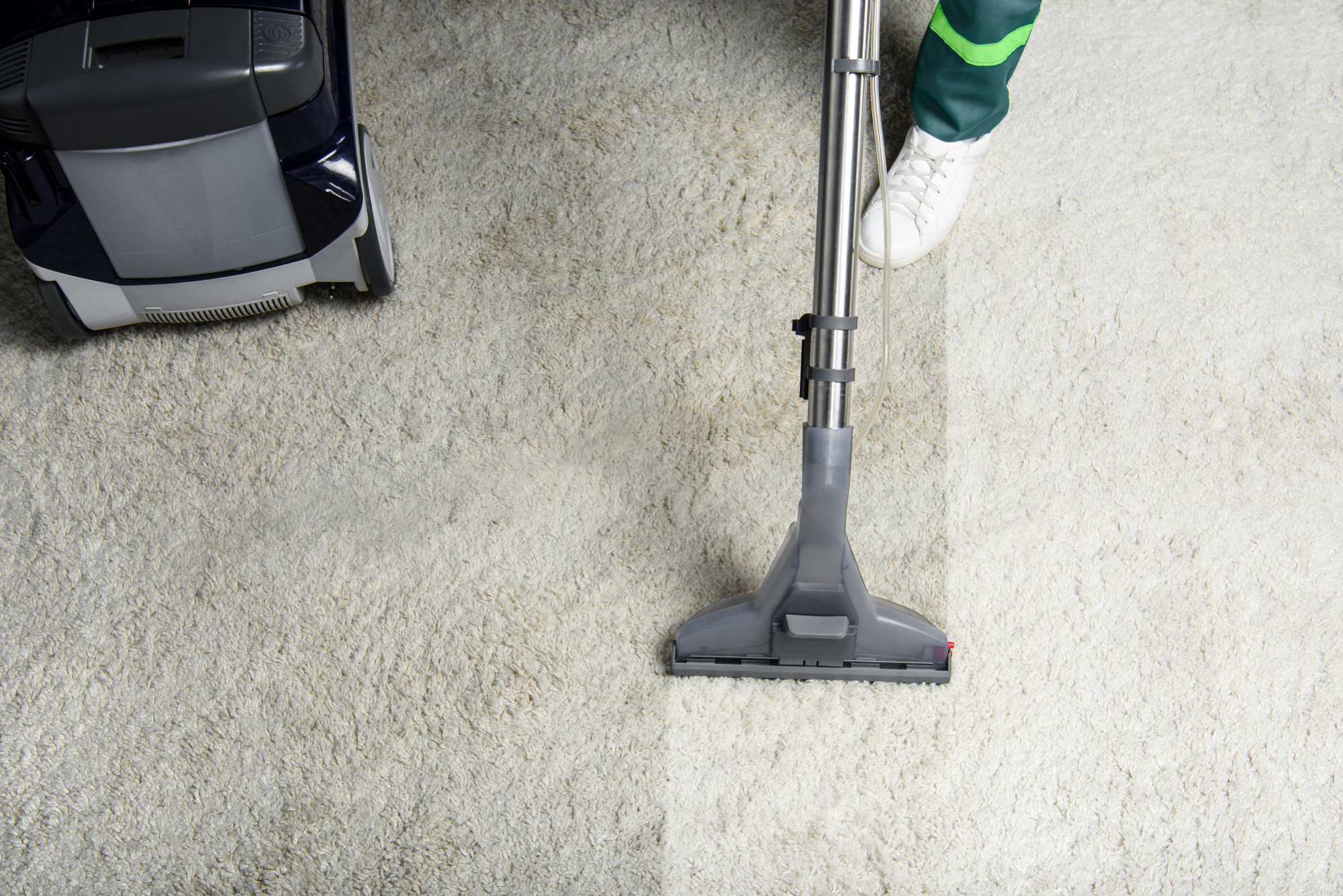 Fresh carpet cleaning service in a home