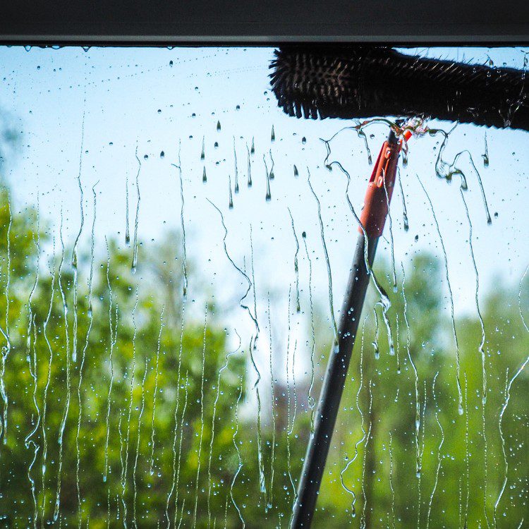 Cleaning Services in Major Texas Cities Cleaning Services in Major Texas Cities