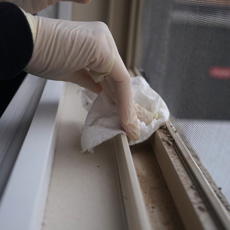 Cleaning Services in Major Texas Cities Cleaning Services in Major Texas Cities